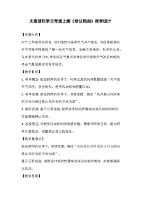 小学大象版 (2017)2 辨认风向教案