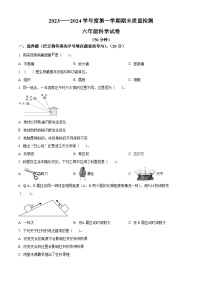 2023-2024学年河北省秦皇岛市昌黎县教科版六年级上册期末考试科学试卷（原卷版+解析版）