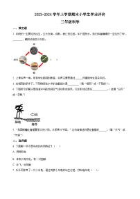 2023-2024学年河南省商丘市睢县大象版三年级上册期末考试科学试卷（原卷版+解析版）