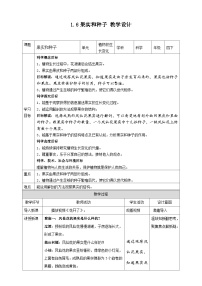 小学科学教科版 (2017)四年级下册6.果实和种子教学设计