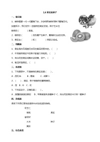 教科版 (2017)四年级下册6.果实和种子同步训练题