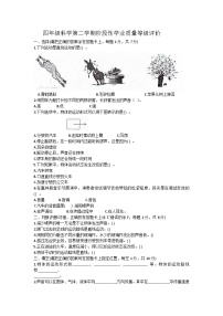 山东省济宁市汶上县2023-2024学年四年级下学期3月月考科学试题