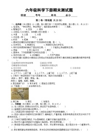 小学科学教科版六年级下册期末测试题3（2024春）（附参考答案）