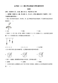 2023-2024学年广东省深圳市罗湖区教科版五年级上册期末考试科学试卷（原卷版+解析版）