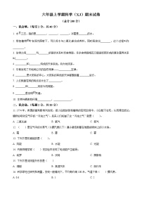 2023-2024学年陕西省安康市汉滨区新城办果园小学湘科版六年级上册期末考试科学试卷（原卷版+解析版）