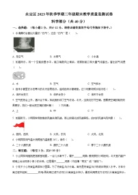 2023-2024学年湖南省张家界市永定区教科版三年级上册期末考试科学试卷（原卷版+解析版）