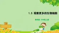 小学科学教科版 (2017)六年级上册5.观察更多的生物细胞说课课件ppt
