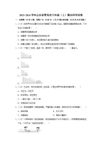 山东省青岛市2023-2024学年六年级上学期期末科学试题