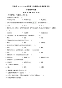 2023-2024学年湖北省十堰市竹溪县苏教版五年级上册期末考试科学试卷（原卷版+解析版）