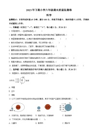 2023-2024学年湖南省怀化市会同县教科版六年级上学期期末考试科学试题（原卷版+解析版）