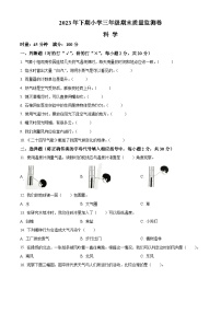 2023-2024学年湖南省怀化市会同县教科版三年级上学期期末考试科学试题（原卷版+解析版）