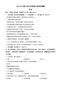 2023-2024学年湖南省怀化市通道县教科版五年级上册期末考试科学试卷（原卷版+解析版）