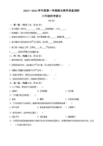 2023-2024学年江苏省宿迁地区教科版六年级上册期末考试科学试卷（原卷版+解析版）