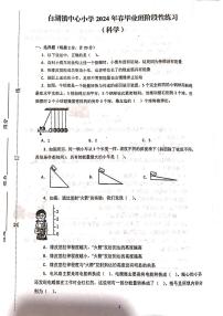 安徽省白湖镇中心学校2023-2024学年六年级下学期4月阶段性练习科学试题