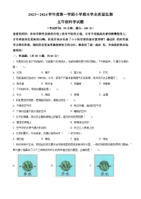 2023-2024学年山东省青岛市青岛版五年级上册期末考试科学试卷（原卷版+解析版）