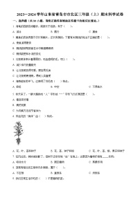 2023-2024学年山东省青岛市市北区青岛版三年级上册期末考试科学试卷（原卷版+解析版）