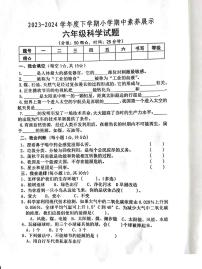 山东省临沂市沂南县2023-2024学年六年级下学期期中考试科学试题