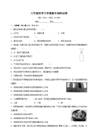 教科版六年级科学下学期期末调研试卷（含答案解析）