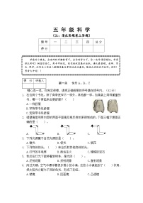 河南省驻马店市汝南县2023-2024学年五年级下学期4月期中科学试题