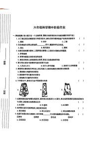 陕西省渭南市多校2023-2024学年度六年级下学期期中科学试卷