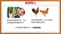 科学六年级上册5 生物的遗传获奖作业课件ppt