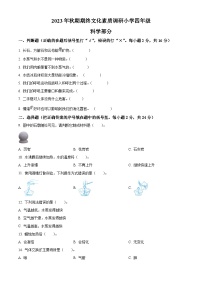 2023-2024学年河南省南阳市方城县大象版四年级上册期末考试科学试卷（原卷版+解析版）