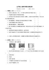 教科版五年级上册科学期末测试卷（含答案）