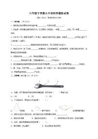 教科版六年级下学期小升初科学模拟试卷（附答案）