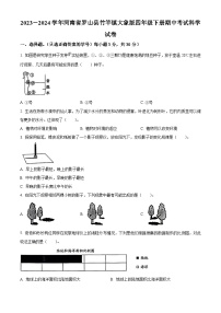 2023-2024学年河南省罗山县竹竿镇大象版四年级下册期中考试科学试卷（原卷版+解析版）