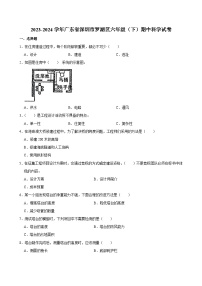 广东省深圳市罗湖区2023-2024学年六年级下学期4月期中科学试题