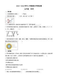 2023-2024学年河南省郑州市金水区文化路第一小学教育集团大象版五年级上册期末考试科学试卷