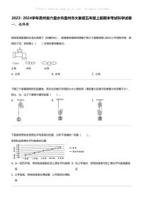 2023- 2024学年贵州省六盘水市盘州市大象版五年级上册期末考试科学试卷