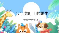 科学二年级下册1 菜叶上的蜗牛公开课课件ppt