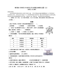 2023-2024学年六年级科学下册期末模拟卷（教科版）(02)