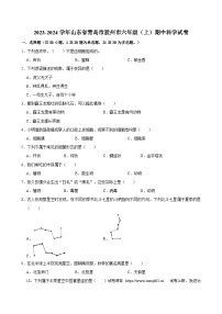 23，山东省青岛市胶州市2023-2024学年六年级上学期11月期中科学试题