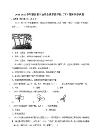 2021-2022学年浙江省宁波市余姚市四年级（下）期末科学试卷