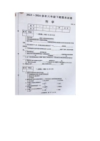 河南省新乡市辉县市2023-2024学年六年级下学期期末科学试题