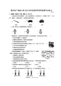 浙江省温州市广场路小学2023-2024学年六年级下学期小升初模拟考科学试题