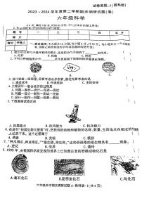 陕西省铜川市王益区2023-2024学年六年级下学期期末科学试卷