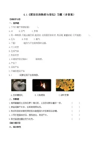 科学六年级下册1. 厨房里的物质与变化精品复习练习题