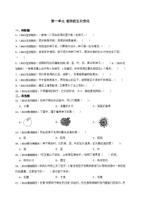 第一单元植物的生长变化-2023-2024学年四年级科学下册期末真题专练（广东专版）