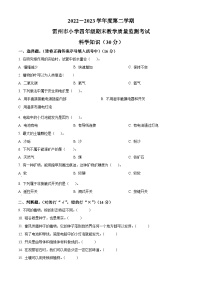 2022-2023学年广东省湛江市雷州市教科版四年级下册期末考试科学试卷（原卷版+解析版）