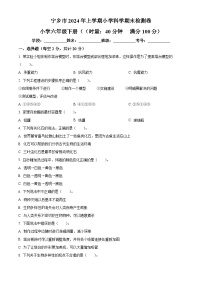 2023-2024学年湖南省长沙市宁乡市教科版六年级下册期末考试科学试卷（原卷版+解析版）