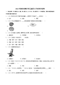 2024年陕西省铜川市王益区小升初科学试卷