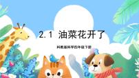 小学教科版1.油菜花开了优秀教学习题课件ppt