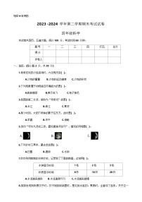 ]河南省洛阳市伊滨区2023-2024学年四年级下学期期末考试科学试卷