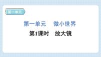 教科版 (2017)六年级上册1.放大镜习题ppt课件