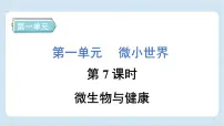 小学科学教科版 (2017)六年级上册7.微生物与健康习题ppt课件