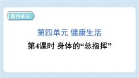 小学科学教科版 (2017)五年级上册4.身体的 “总指挥”习题ppt课件