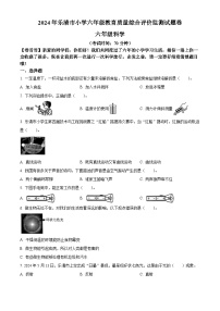 浙江省温州市乐清市教科版2023-2024学年六年级下册期末考试科学试卷（原卷版+解析版）